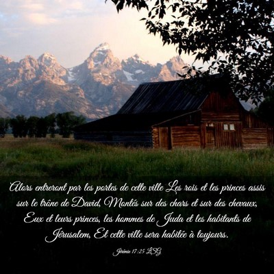 Picture 03 - Jérémie 17:25 LSG - Alors entreront par les portes de cette ville Les - Bible Verse Picture