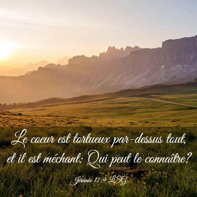 Picture 03 - Jérémie 17:9 LSG - Le coeur est tortueux par-dessus tout, et il est - Bible Verse Picture