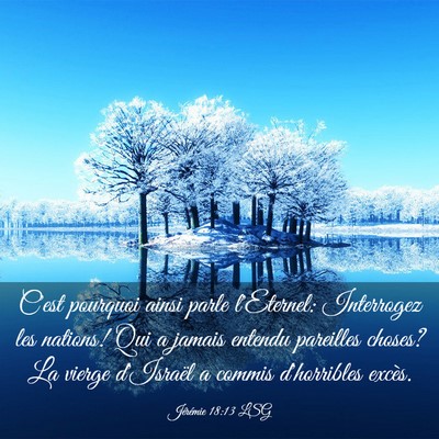 Picture 03 - Jérémie 18:13 LSG - C'est pourquoi ainsi parle l'Eternel: Interrogez - Bible Verse Picture
