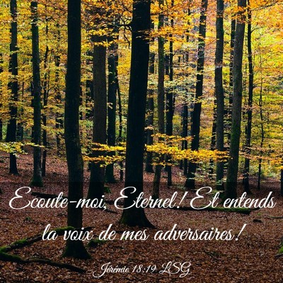 Picture 03 - Jérémie 18:19 LSG - Ecoute-moi, Eternel! Et entends la voix de mes - Bible Verse Picture