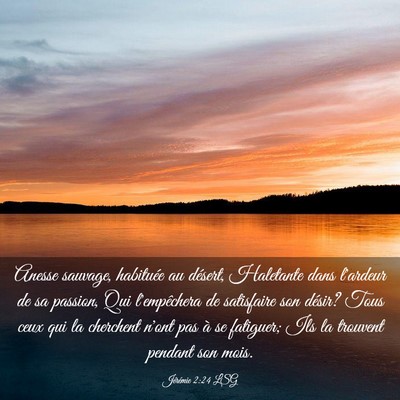 Picture 03 - Jérémie 2:24 LSG - Anesse sauvage, habituée au désert, Haletante - Bible Verse Picture