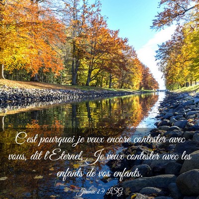 Picture 03 - Jérémie 2:9 LSG - C'est pourquoi je veux encore contester avec - Bible Verse Picture