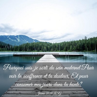 Picture 03 - Jérémie 20:18 LSG - Pourquoi suis-je sorti du sein maternel Pour voir - Bible Verse Picture