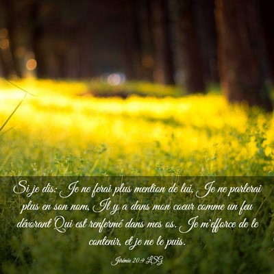 Picture 03 - Jérémie 20:9 LSG - Si je dis: Je ne ferai plus mention de lui, Je ne - Bible Verse Picture