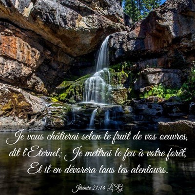 Picture 03 - Jérémie 21:14 LSG - Je vous châtierai selon le fruit de vos oeuvres, - Bible Verse Picture
