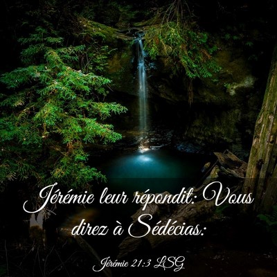 Picture 03 - Jérémie 21:3 LSG - Jérémie leur répondit: Vous direz à - Bible Verse Picture