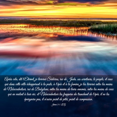 Picture 03 - Jérémie 21:7 LSG - Après cela, dit l'Eternel, je livrerai - Bible Verse Picture