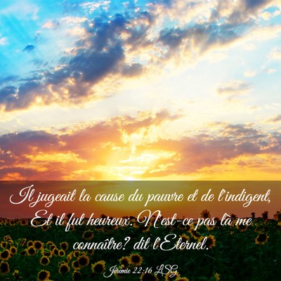 Picture 03 - Jérémie 22:16 LSG - Il jugeait la cause du pauvre et de l'indigent, - Bible Verse Picture