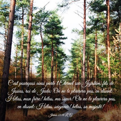 Picture 03 - Jérémie 22:18 LSG - C'est pourquoi ainsi parle l'Eternel sur Jojakim, - Bible Verse Picture