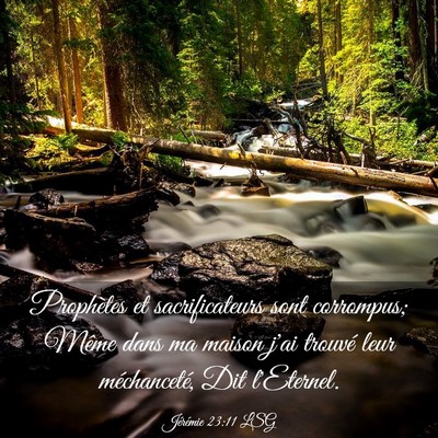 Picture 03 - Jérémie 23:11 LSG - Prophètes et sacrificateurs sont corrompus; - Bible Verse Picture