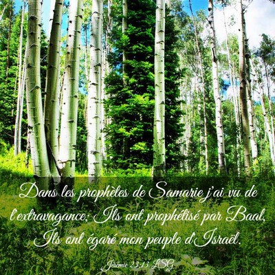 Picture 03 - Jérémie 23:13 LSG - Dans les prophètes de Samarie j'ai vu de - Bible Verse Picture