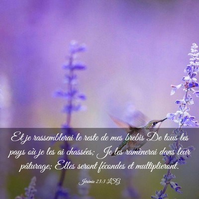 Picture 03 - Jérémie 23:3 LSG - Et je rassemblerai le reste de mes brebis De tous - Bible Verse Picture