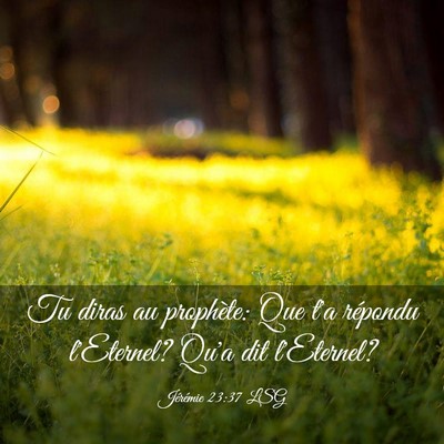 Picture 03 - Jérémie 23:37 LSG - Tu diras au prophète: Que t'a répondu - Bible Verse Picture
