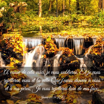 Picture 03 - Jérémie 23:39 LSG - A cause de cela voici, je vous oublierai, Et je - Bible Verse Picture