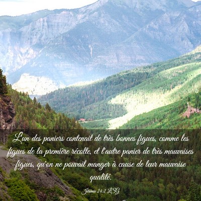 Picture 03 - Jérémie 24:2 LSG - L'un des paniers contenait de très bonnes - Bible Verse Picture