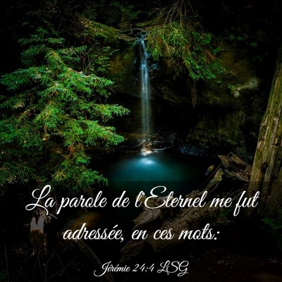 Picture 03 - Jérémie 24:4 LSG - La parole de l'Eternel me fut adressée, en ces - Bible Verse Picture