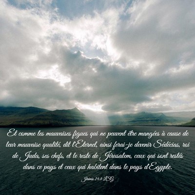 Picture 03 - Jérémie 24:8 LSG - Et comme les mauvaises figues qui ne peuvent - Bible Verse Picture