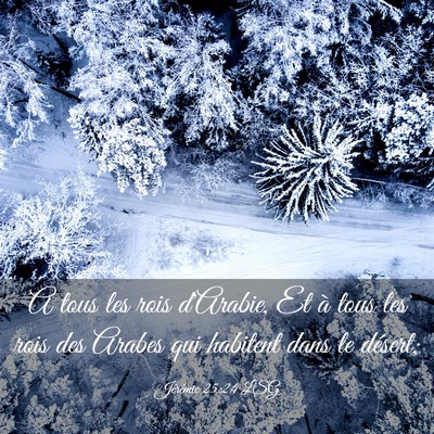 Picture 03 - Jérémie 25:24 LSG - A tous les rois d'Arabie, Et à tous les rois des - Bible Verse Picture