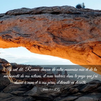 Picture 03 - Jérémie 25:5 LSG - Ils ont dit: Revenez chacun de votre mauvaise - Bible Verse Picture