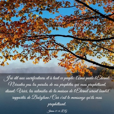 Picture 03 - Jérémie 27:16 LSG - J'ai dit aux sacrificateurs et à tout ce peuple: - Bible Verse Picture
