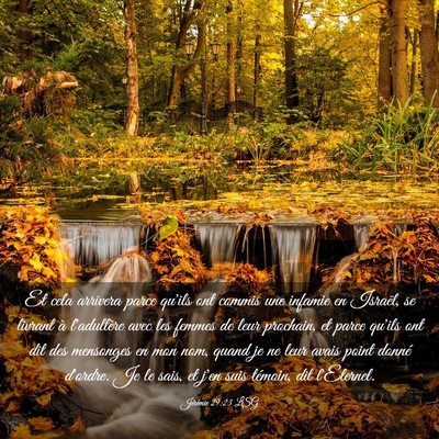 Picture 03 - Jérémie 29:23 LSG - Et cela arrivera parce qu'ils ont commis une - Bible Verse Picture