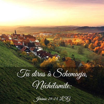 Picture 03 - Jérémie 29:24 LSG - Tu diras à Schemaeja, - Bible Verse Picture