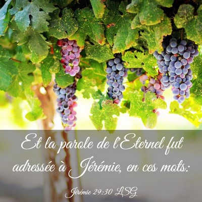 Picture 03 - Jérémie 29:30 LSG - Et la parole de l'Eternel fut adressée à - Bible Verse Picture