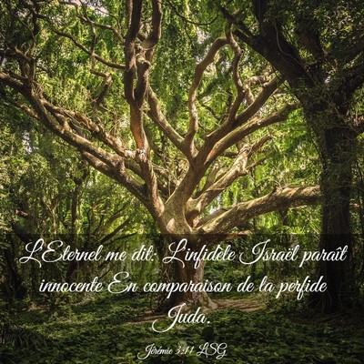 Picture 03 - Jérémie 3:11 LSG - L'Eternel me dit: L'infidèle Israël paraît - Bible Verse Picture