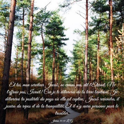 Picture 03 - Jérémie 30:10 LSG - Et toi, mon serviteur Jacob, ne crains pas, dit - Bible Verse Picture