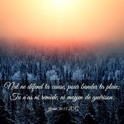 Picture 03 - Jérémie 30:13 LSG - Nul ne défend ta cause, pour bander ta plaie; Tu - Bible Verse Picture