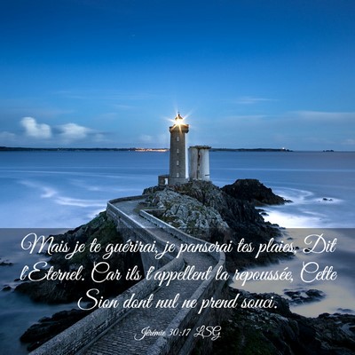 Picture 03 - Jérémie 30:17 LSG - Mais je te guérirai, je panserai tes plaies, Dit - Bible Verse Picture