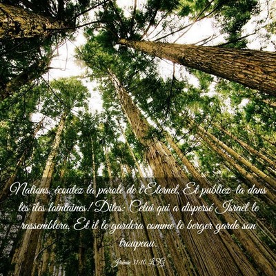 Picture 03 - Jérémie 31:10 LSG - Nations, écoutez la parole de l'Eternel, Et - Bible Verse Picture