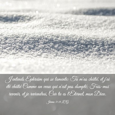 Picture 03 - Jérémie 31:18 LSG - J'entends Ephraïm qui se lamente: Tu m'as - Bible Verse Picture