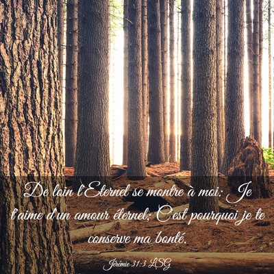 Picture 03 - Jérémie 31:3 LSG - De loin l'Eternel se montre à moi: Je t'aime - Bible Verse Picture