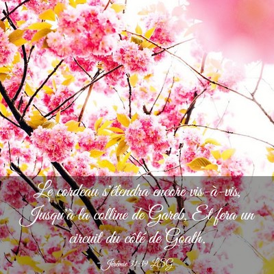 Picture 03 - Jérémie 31:39 LSG - Le cordeau s'étendra encore vis-à-vis, Jusqu'à - Bible Verse Picture