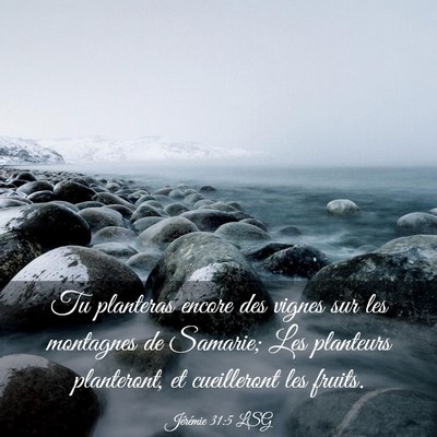Picture 03 - Jérémie 31:5 LSG - Tu planteras encore des vignes sur les montagnes - Bible Verse Picture