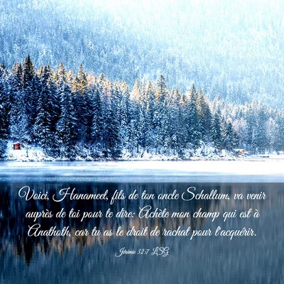 Picture 03 - Jérémie 32:7 LSG - Voici, Hanameel, fils de ton oncle Schallum, va - Bible Verse Picture