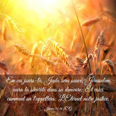 Picture 03 - Jérémie 33:16 LSG - En ces jours-là, Juda sera sauvé, Jérusalem - Bible Verse Picture