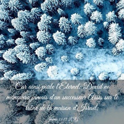 Picture 03 - Jérémie 33:17 LSG - Car ainsi parle l'Eternel: David ne manquera - Bible Verse Picture