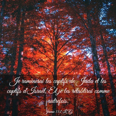 Picture 03 - Jérémie 33:7 LSG - Je ramènerai les captifs de Juda et les captifs - Bible Verse Picture