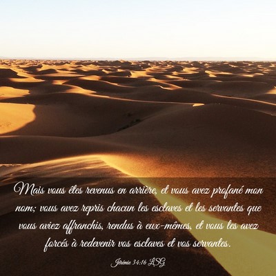 Picture 03 - Jérémie 34:16 LSG - Mais vous êtes revenus en arrière, et vous avez - Bible Verse Picture
