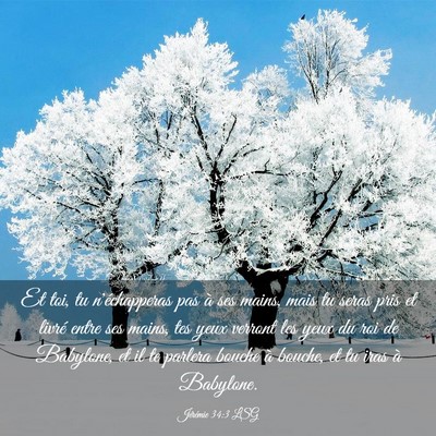 Picture 03 - Jérémie 34:3 LSG - Et toi, tu n'échapperas pas à ses mains, mais - Bible Verse Picture
