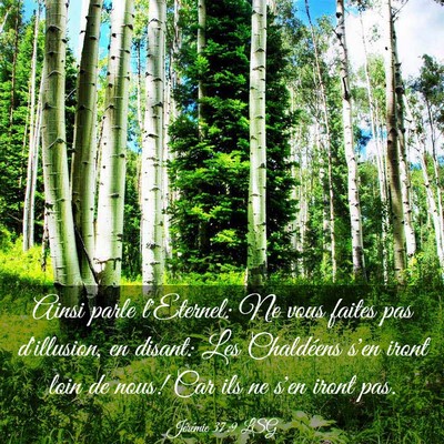 Picture 03 - Jérémie 37:9 LSG - Ainsi parle l'Eternel: Ne vous faites pas - Bible Verse Picture