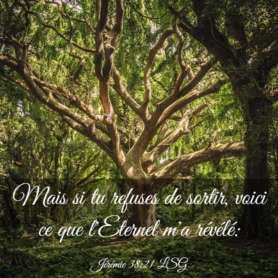 Picture 03 - Jérémie 38:21 LSG - Mais si tu refuses de sortir, voici ce que - Bible Verse Picture