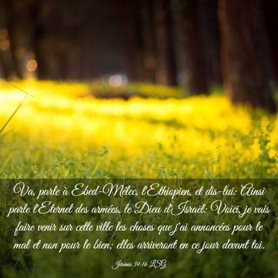Picture 03 - Jérémie 39:16 LSG - Va, parle à Ebed-Mélec, l'Ethiopien, et - Bible Verse Picture