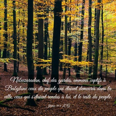 Picture 03 - Jérémie 39:9 LSG - Nebuzaradan, chef des gardes, emmena captifs à - Bible Verse Picture