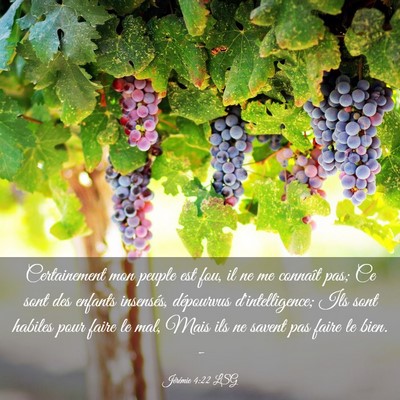 Picture 03 - Jérémie 4:22 LSG - Certainement mon peuple est fou, il ne me - Bible Verse Picture