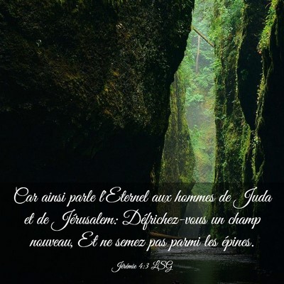 Picture 03 - Jérémie 4:3 LSG - Car ainsi parle l'Eternel aux hommes de Juda et - Bible Verse Picture