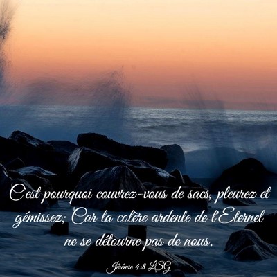 Picture 03 - Jérémie 4:8 LSG - C'est pourquoi couvrez-vous de sacs, pleurez et - Bible Verse Picture