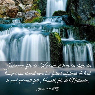 Picture 03 - Jérémie 41:11 LSG - Jochanan, fils de Karéach, et tous les chefs des - Bible Verse Picture